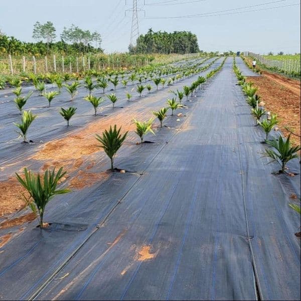 Factory customized agricultural anti grassland cloth, orchard weed cloth, multiple specifications