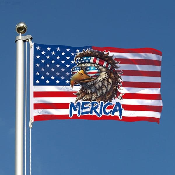 American Flag Bald Eagle Anniversary Flag Decoration Hanging Flags