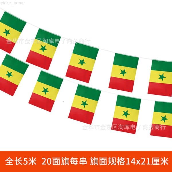 Senegal Flag String Flags 5M 20 Flags Customized World Flags Small Hanging Flags