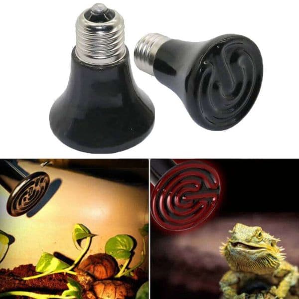 Warmer Bulbs Emitter Heat Light Infrared Heater For Lizard Spider Reptile Box Ceramic Supplies Mini Pet Heating Lamp