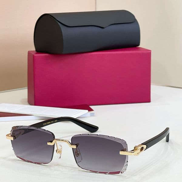 New frameless Sunnies neutral small rectangular glasses metal post head gradient gray lenses UV400 protective acetate fiber legs workplace casual eyeglass CT0623