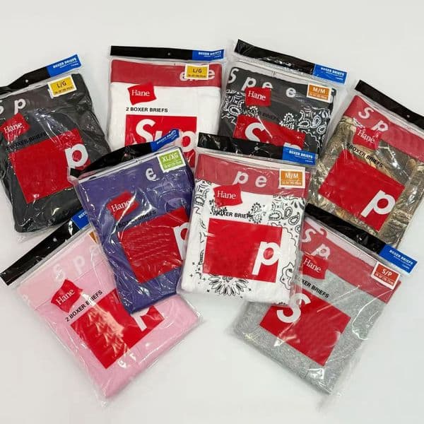 2026 New Designer Mens Underwears BOXER BRIEF Breathable Letter Underpants Summer Man Shorts 2 pieces/pack briefs