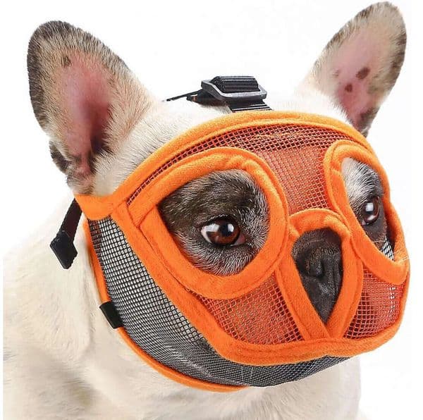 Pet Supplies Dhpet Bulldog French English Bulldog Muzzle Short Mouth Dog Anti-Bite And Anti-Eating Mask Free Shipping