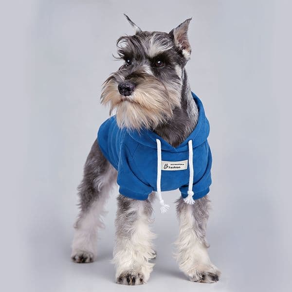 Pet Hoodie - Comfortable and warm spring and fall clothing for small dog breeds: Pomeranian, Chihuahua, and Teddy.