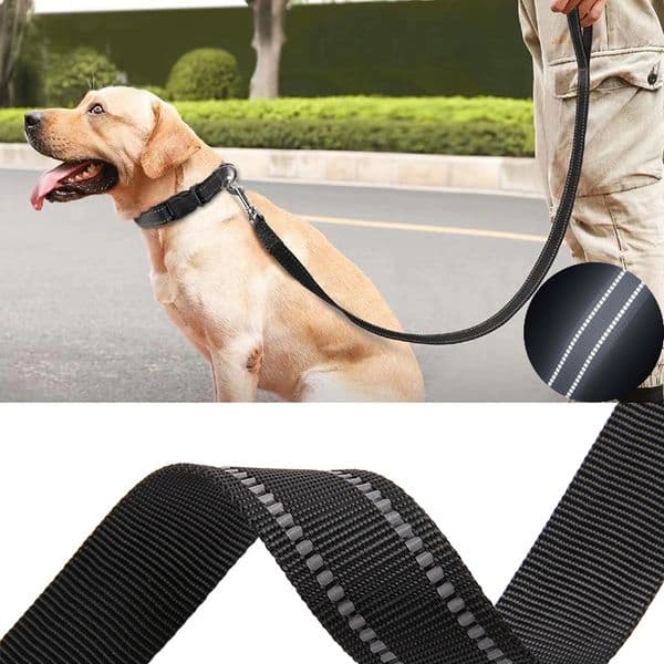 Pet Leash Nylon Webbing Dog Leash Night Reflective Explosion-proof Dog Leashes for Medium and Large Dogs and Cats Outdoor Travel