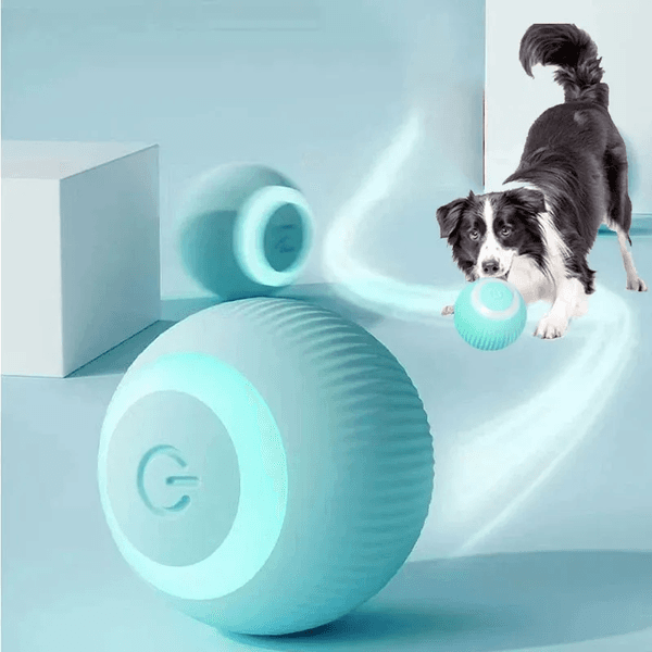 Gravity Intelligent Rolg Ball Cat USB Charging Accessorie Grinding Teeth Resistant To Bite Amuse Pet Toys