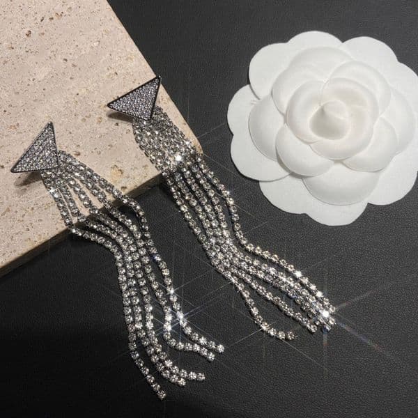 Brand Designer Diamond Tassel Earring Classic Boutique Gift Earrings Birthday Wedding Gifts High Quality Jewelry Women New Silver Plated Charm Stud Earrings