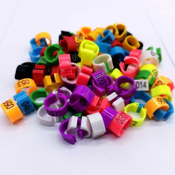 Update 100 Pcs Pigeon Rings With Word Earrings Quality Durable Bird Foot Chick Duck Goose Quail Plastic Clip Ring Farm Tools