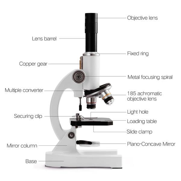 GF01 2400X Monocular Optical Microscope Kits with Wide-Field Eyepiece Children Adult Science Experimental Biology Teaching