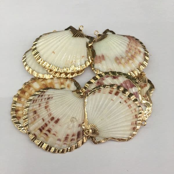 5Pcs/lot Wholesale New Natural Shell Pendants Charms Necklace Trendy Pendant For Making DIY Accessories Necklaces Earings