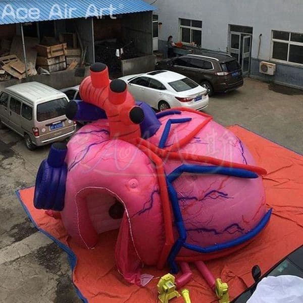 26ft length Customized Inflatable Heart Tunnel Tent/Inflatable Human Organ Model for School Education or Outdoor Exhibitions 45642
