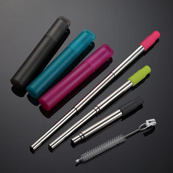 En 304 Telescopic Straw Set with Silicone Mouth Storage Box Portable Beverage Milk Tea Straw Repeatable Gift