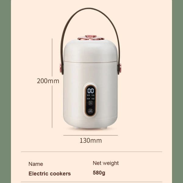110V Electric Kettle Health Tea Water Boiler Stew Hot Pot Soup Porridge Slow Cooker Rice Cooking Heating Lunch Box Food Warmer