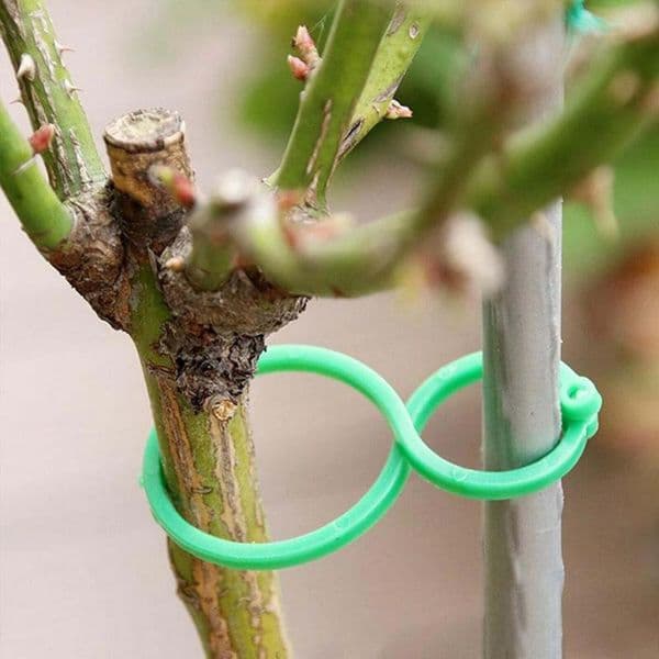 1/2/4PCS Garden Plant Clips Vegetable Growing Upright Plant Holder Green Plastic Bundled Ring Vine Support Garden Standing Tools