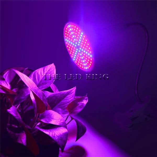 48 60 80 200 300 LED 220V Plant Light Grow Bulb E27 Fitolampy Phyto Lamp Led 12W Full Spectrum Indoor Hydroponics Grow Tent