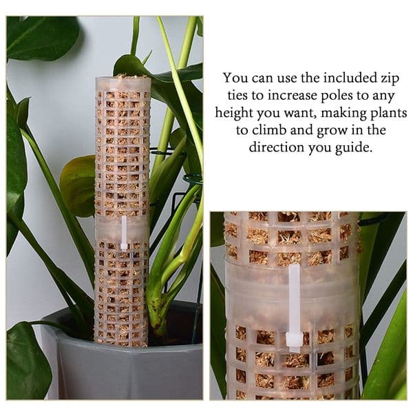 Plastic Plant Climbing Column Plant Pole Sphagnum Plant Support Trelli Frame Water Moss Column Pole Potted Flower Vines Climbing