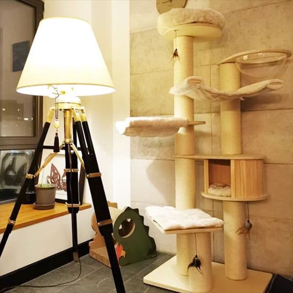 Luxury Villa House Cat Trees Climbing Set Playground Condo Cat Scratch Board Sofa Hammock Arbre A Chat Pet Furniture LJ50CS