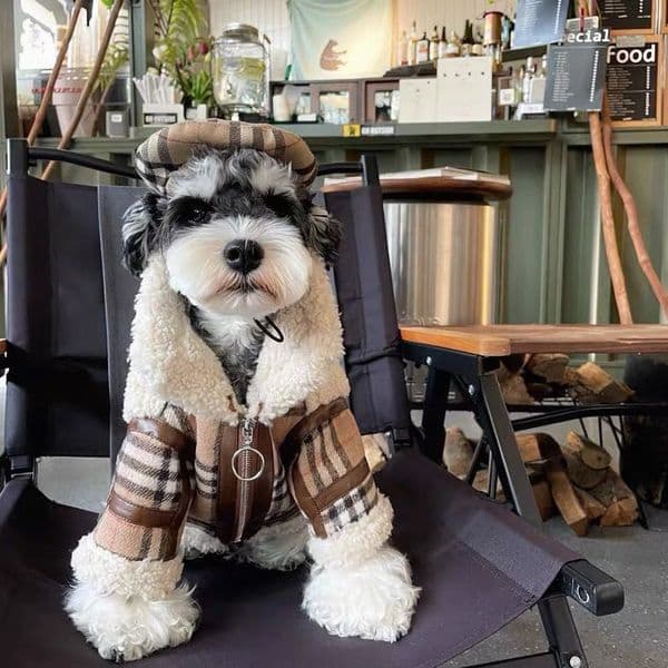 Warm Lamb Wool Coat for Dogs Cats, Dog Clothes, Small and Medium Size, Pet Clothing, Winter