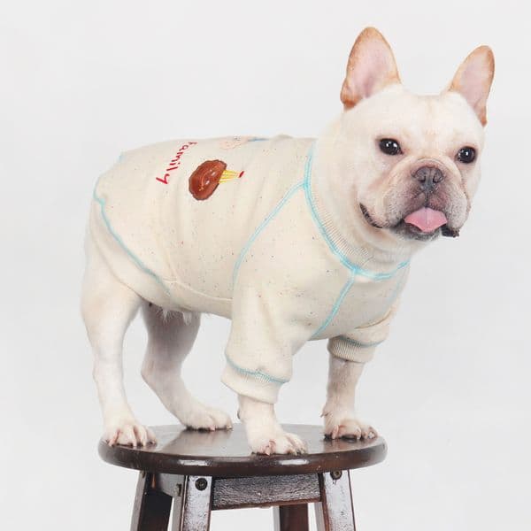 Frenchbull Dog Clothes Autumn Spring Dog Pullover Fashion Design Dog Hoodie