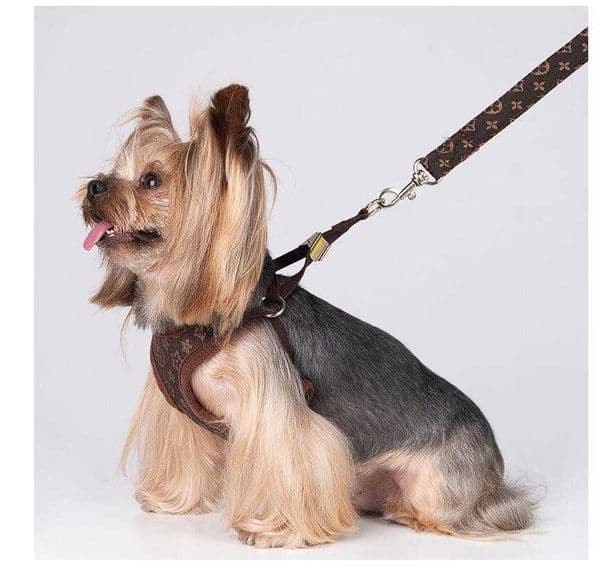 Leashes Step-in Dog Set Designer Pet Vest Classic Jacquard Lettering Soft Air Mesh Dog Harnesses For Small Dogs Cat Teacup Puppies 56562
