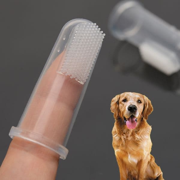 500pcs Hot! Super Soft Pet Finger Toothbrush Teddy Dog Toothbrush Bad Breath Tartar Teeth Tool Dog Cat Cleaning Supplies JL16