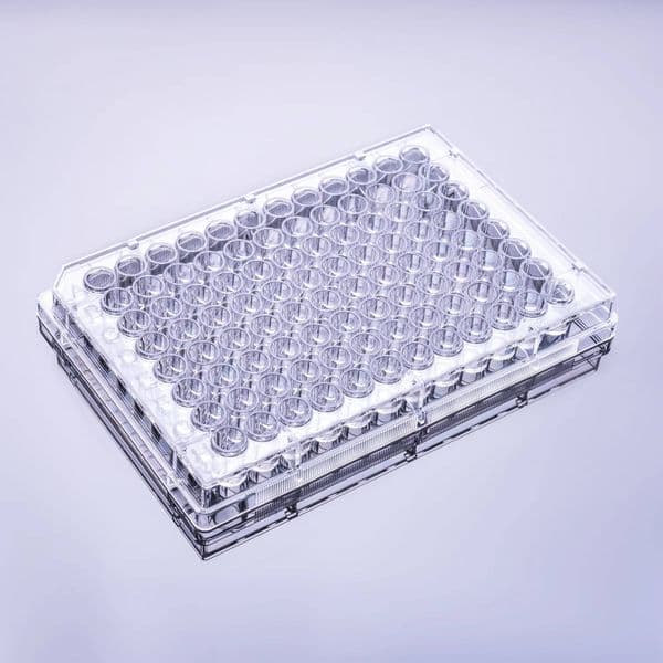High Absorption Enzyme 96 Well Flat Bottom Elisa Plate Reader