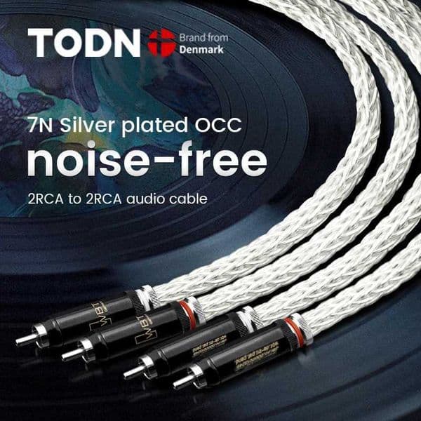 TODN Hi-End 8AG Silver Plated OCC 16 Strands Audio Cable With WBT RCA Plug Cable HIFI 2RCA TO 2RCA CableXJ250103