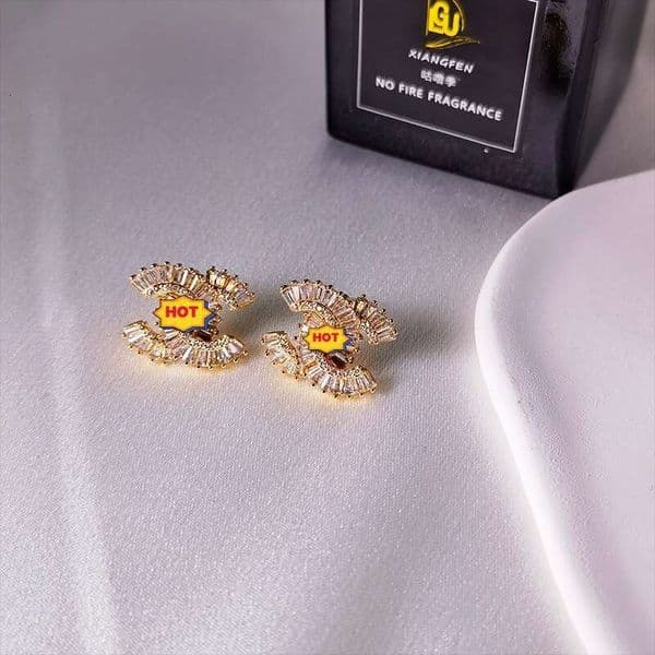 Double C Letter Elegant Style 2024 New Sier Needle Niche Design High-end Earrings