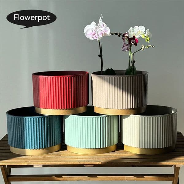 Stylish Ceramics Plant Containers Ideal Both Inside Home Spaces and Outdoors