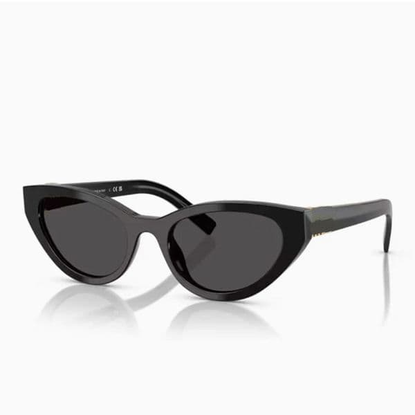 Designer Womens Cat Eye Sunglasses Fashionable lady small frame sexy Acetate cat eye frame Ladies luxury summer beach sunglasses MU04