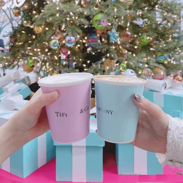 Household T European style water coffee ceramic mug couple cup box wedding gift