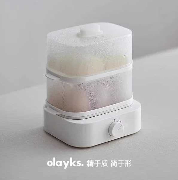 220V olayks stainless steel egg cooker mini steamer for home breakfast quick cooking M251206