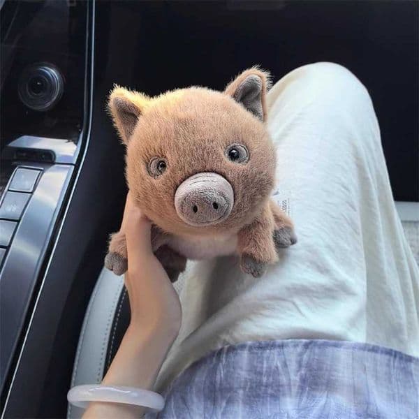 Jellys Cat British Swinley Wild Boar Plush Doll Comfort Toy 2026 Autumn Winter New Product online