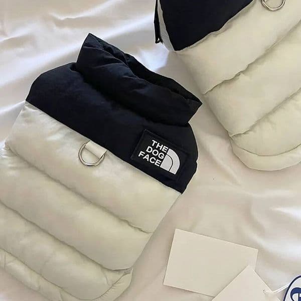 Pet Warm Cotton Coat Two-Legged Clothes Thickened Teddy Down Jacket Small To Medium Dog Cute Winter Clothing