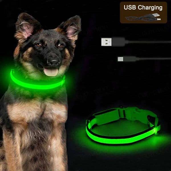 3 Modes Luminous Charge Usb Cat Dogs Collars Detachable Night Led Glow Dog Loss Prevention Collar Pet Accessories 25T1226
