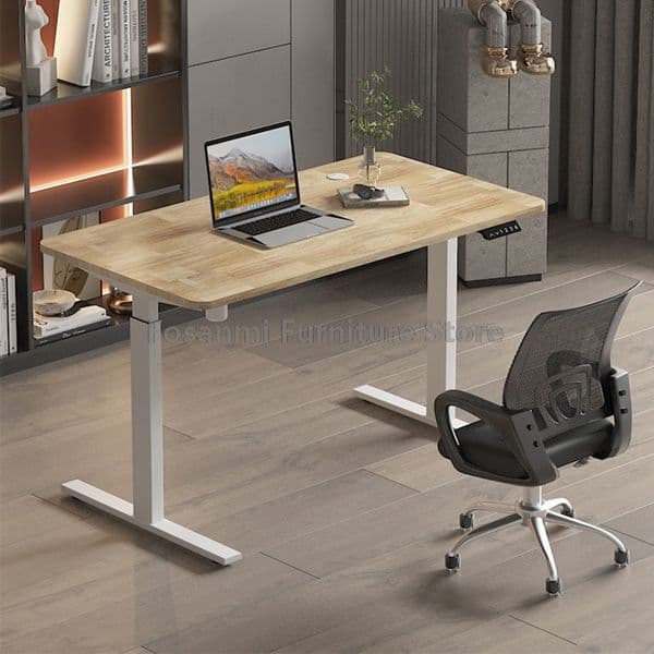 Adjustable Height Electric Office Desk Rounded Corners Large desktop Computer Table Sturdy Gaming Desk Home Room Elevable Table