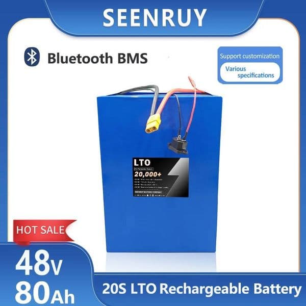 SEENRUY LTO 48V 80Ah Lithium Titanate battery with bluetooth BMS for Electric vehicel EV three/two-wheeler +10A Charger