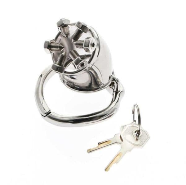 Cbt Flower Of Thorns Stainless Steel Chastity Cage With Arc-Shaped Cock Ring Bdsm Toys Bondage Fetish124