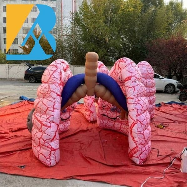6mLx6mWx6mH (20x20x20ft) with blower Free shipping Bespoke Educational Display Giant Body Organ Inflatable Lungs for Medical Activity