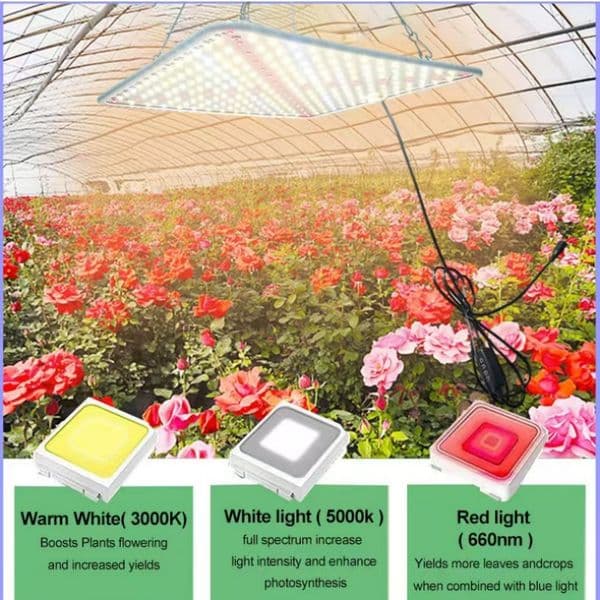 45W/1000w LED Grow Light Full Spectrum Phyto Lamp AC85-240V EU US Plug for Greenhouse Hydroponic Plant Growth Lighting
