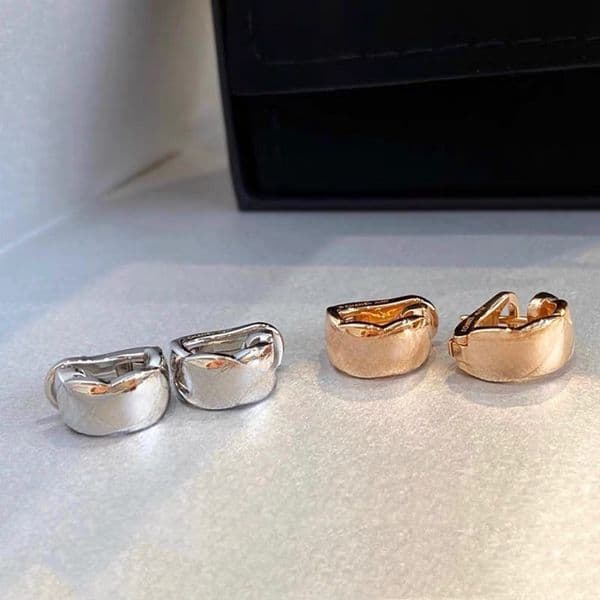 Designer Earrings for Women Party Wedding Lovers Gift Classic Stud Gold Fashion Jewelry Earings Stamp with Box