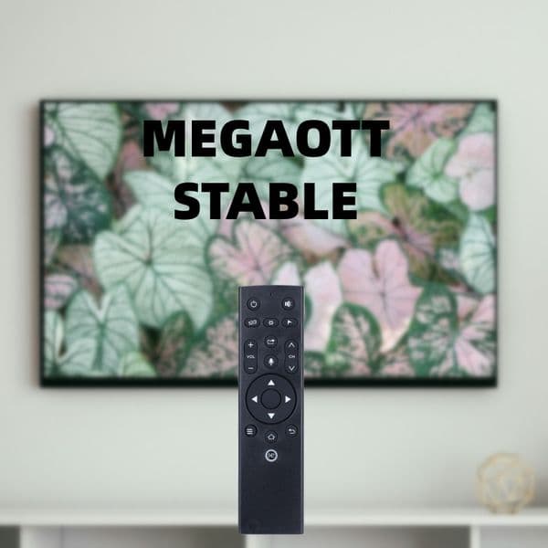 Smart TV Remote Controller For Fire stick ME GA OTT Android TV box With xxx Free trail