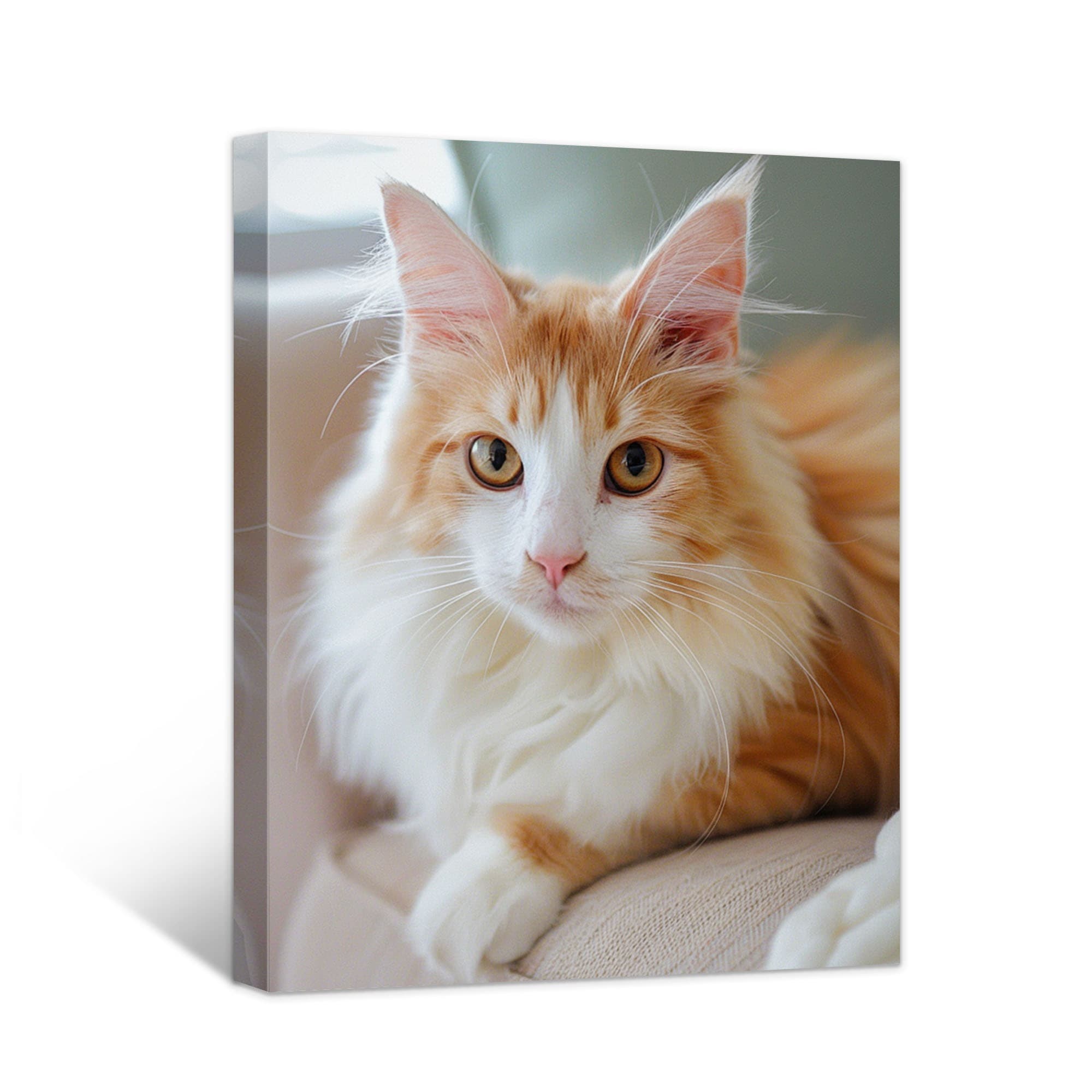 TEMU Custom Canvas Prints With Your Photos- Customized Poster Picture Photo Prints, Personalized Canvas Pictures Wall Art For Home Office, , Family With Frame