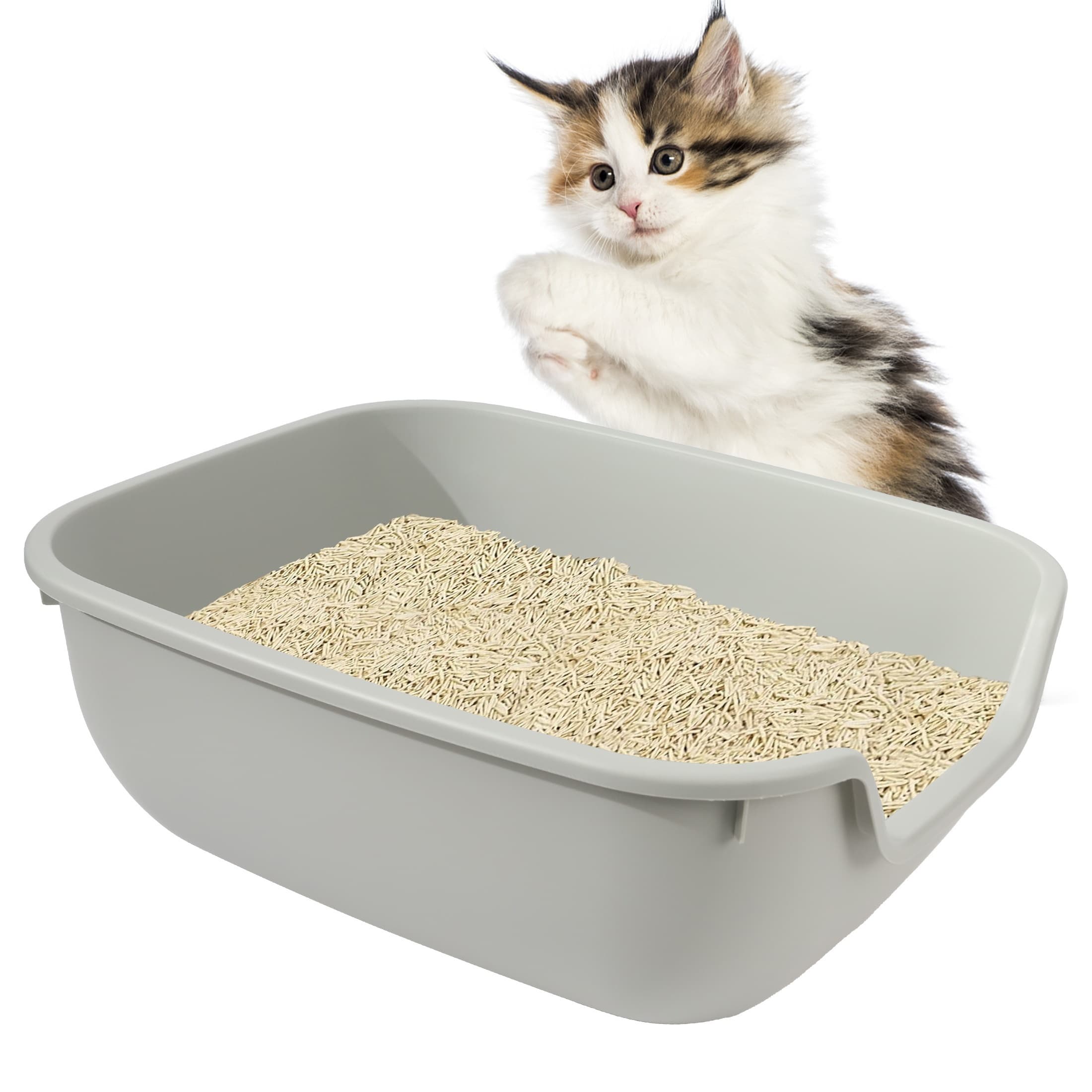 TEMU Large Cat Litter Box With High Sides & Open Top - For Kittens To Senior Cats, Includes Scoop, Abs Plastic, Mess-free Cleaning, Curved Design Hygiene