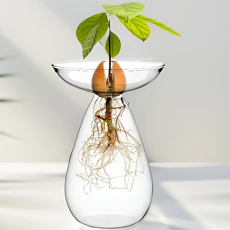 TEMU Fekyaeta 1pc Glass Avocado Seed Starter Vase - Shaped Propagation Jar For Bulb Growing & Hydroponic Plants, Clear Small Bud Vase For Flowers, Stems, Clippings - Decor, Office Desk Planter
