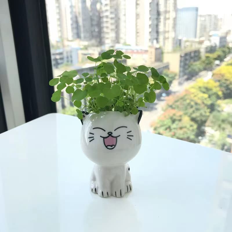 TEMU Ceramic Flowerpot Shaped Cartoon Cute Potted Plant Desktop Potted With Drainage Holes Cat Plant Pot Desk Decorate Gift Gardening Gift Home Decor