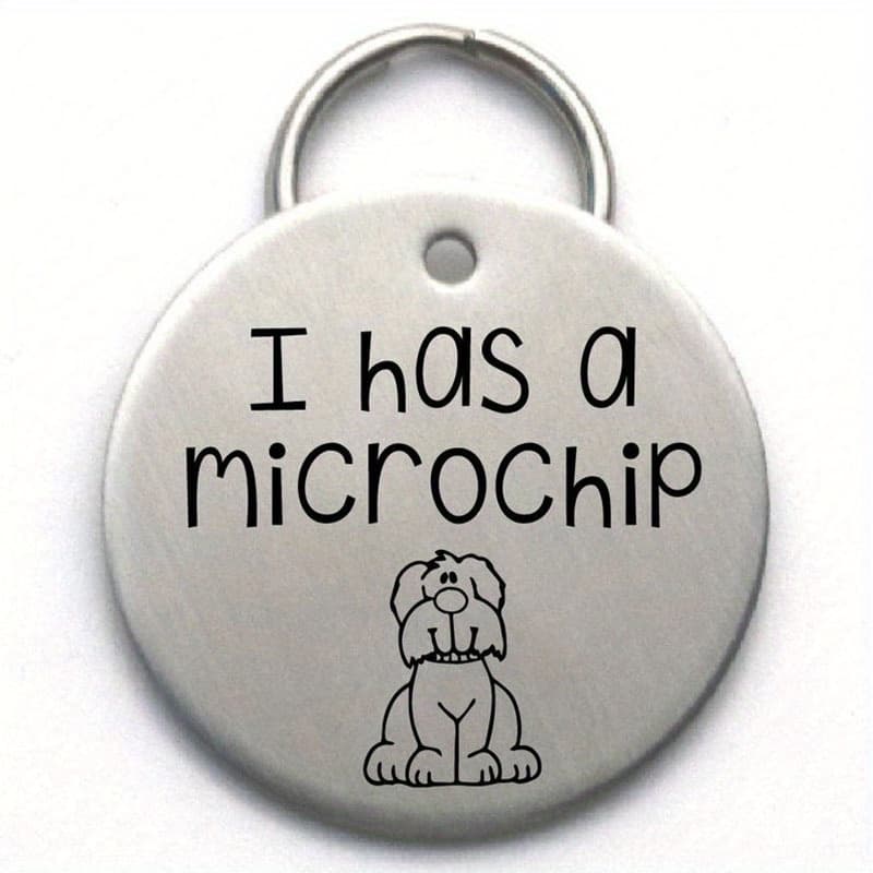 TEMU Pet Identification Tag - Cute Stainless Tag - Dog Accessories And Supplies - Puppy Keychain