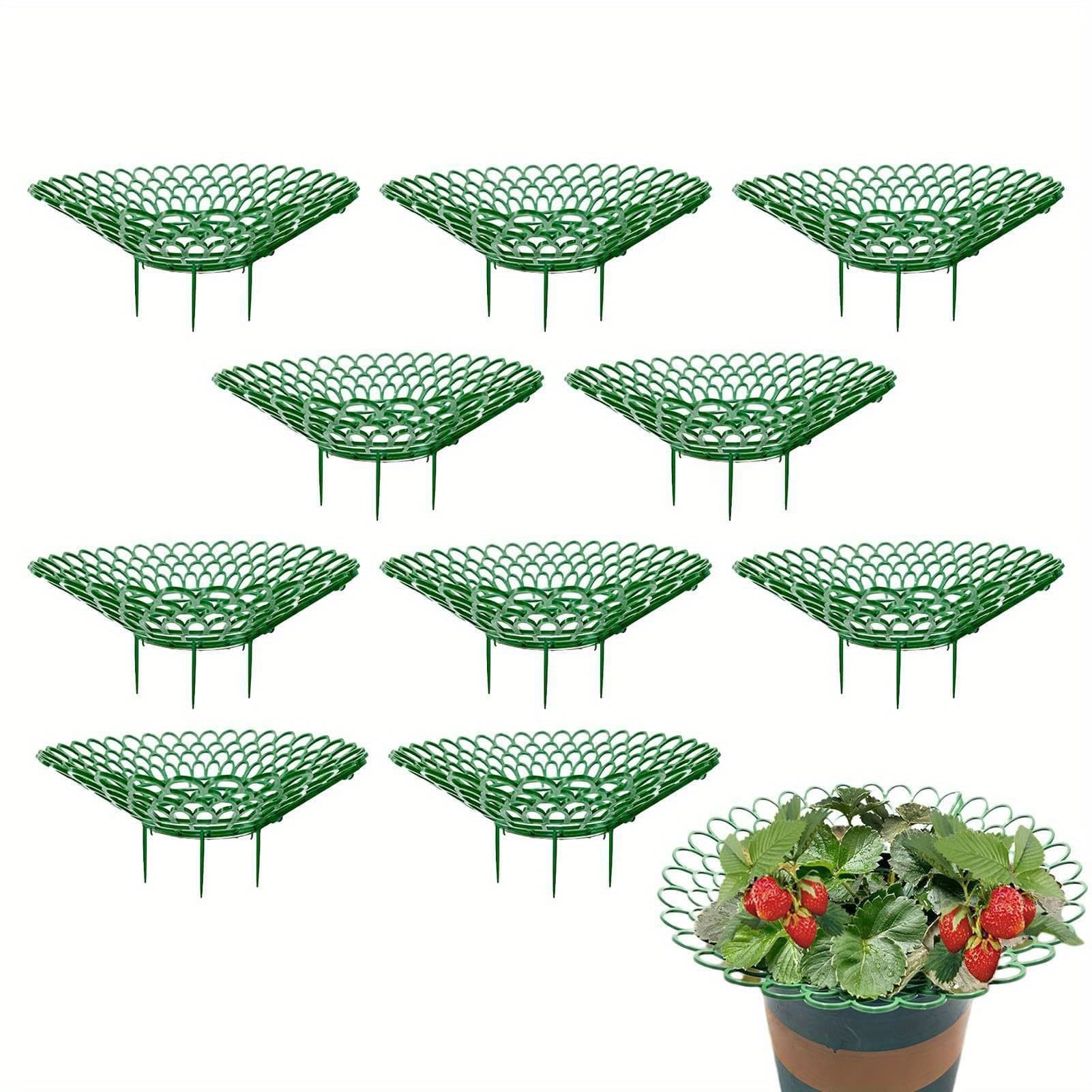 TEMU 10pack Strawberry Supports - Strawberry Plant Support Stand Strawberry Growing Racks Protector Strawberry Growing Frame