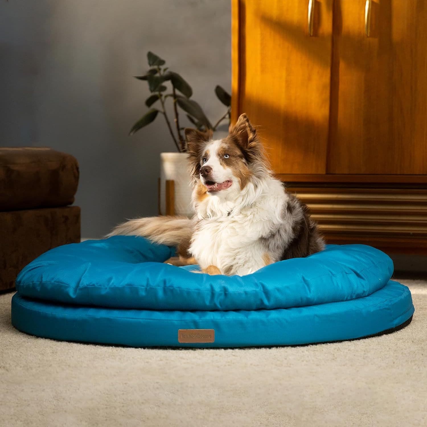 TEMU Clevahome Orthopedic Dog Bed For Large Dogs, Dual Layer High Quality Round Pet Bed With Washable Cover Nonslip Bottom