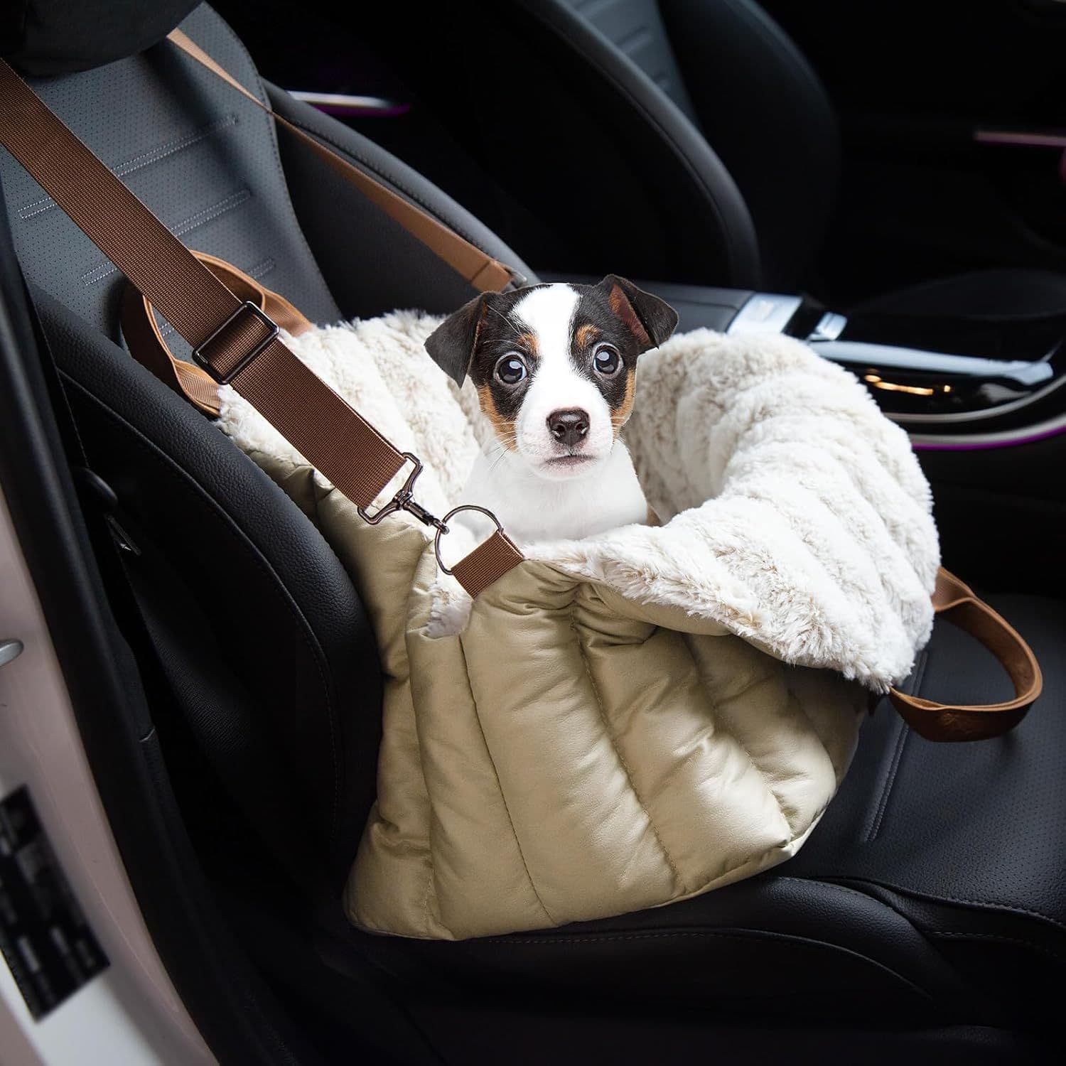 TEMU Clevahome Small Dog Car Seat & Travel Carrier & Pet Bed, Soft Fleece Interior For Dogs Up To 10lbs, Stylish Pet Travel Tote For Indoor And Outdoor Use (eucalyptus)